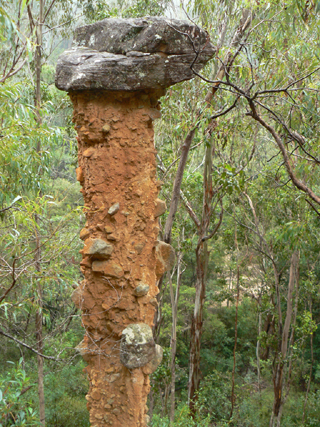  - Totem Pole